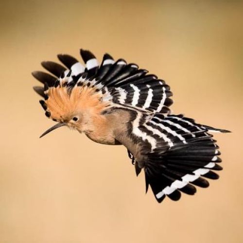 Photography tours - Europe