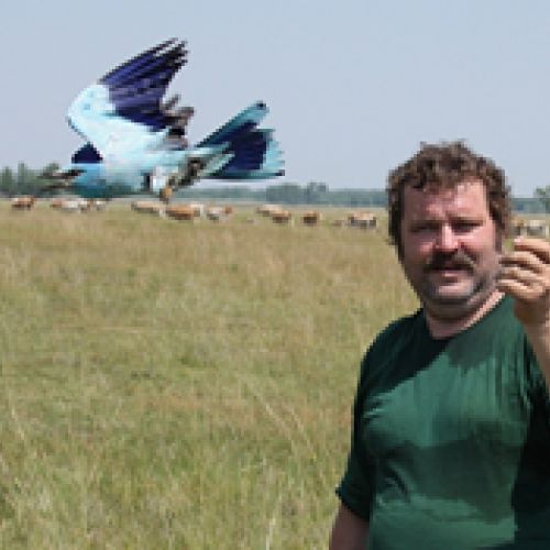 News & Late availabities